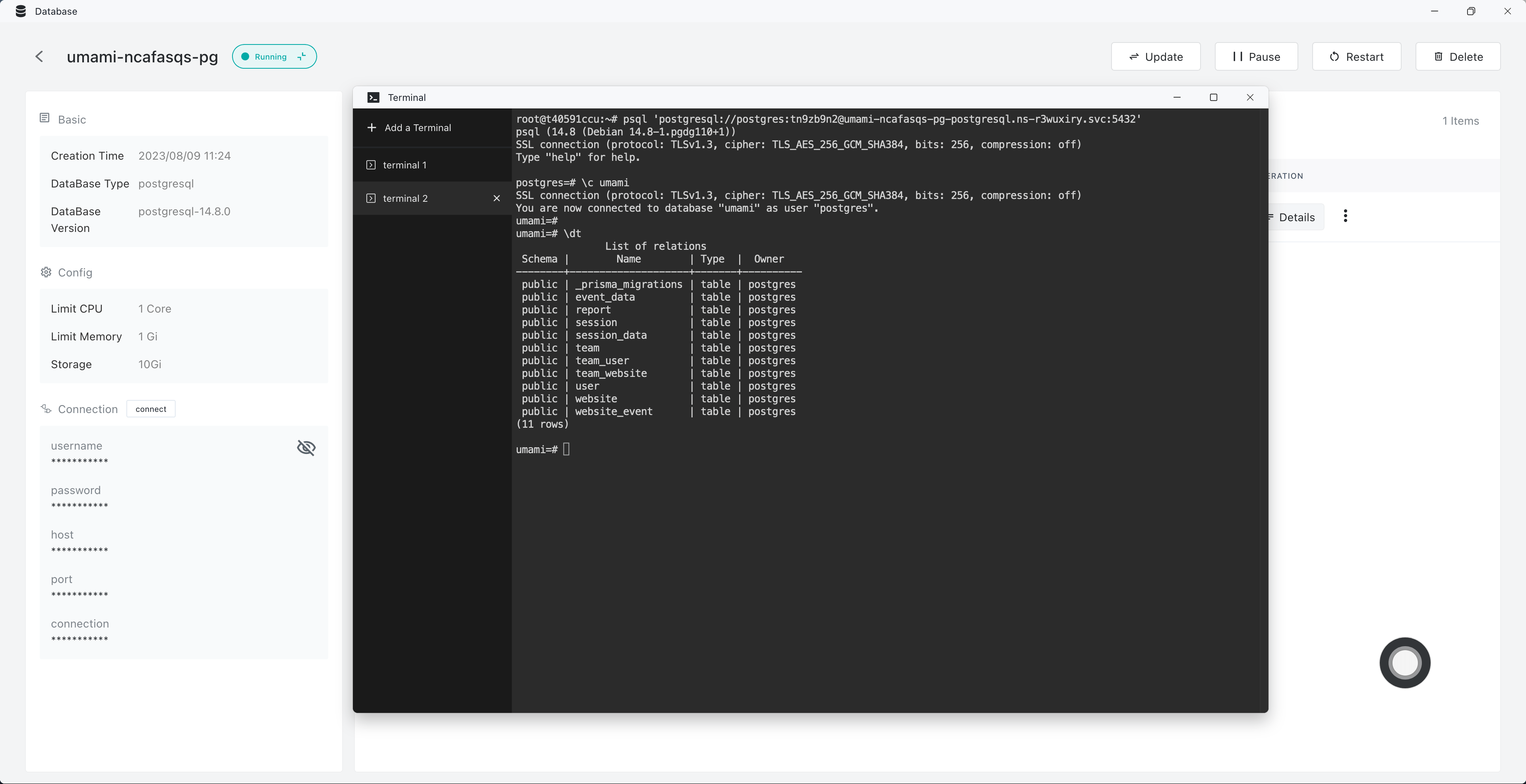 pg Database connection